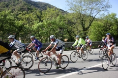 2013_Reggio_171