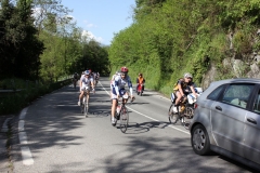 2013_Reggio_177