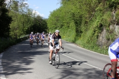 2013_Reggio_179