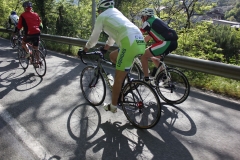 2013_Reggio_189