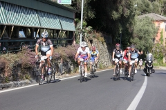2013_Reggio_242