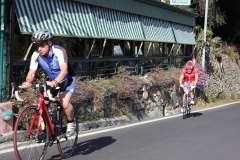 2013_Reggio_253
