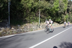 2013_Reggio_267