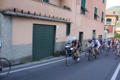 2013_Reggio_294