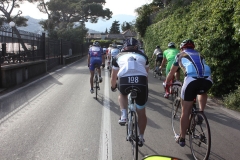 2013_Reggio_311