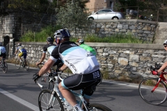 2013_Reggio_313
