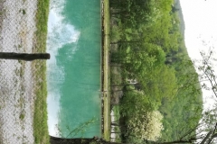 IMG_20180505_131734 (Medium)